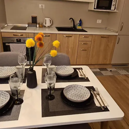 Apartament Modern And Cozy Flat In The Center